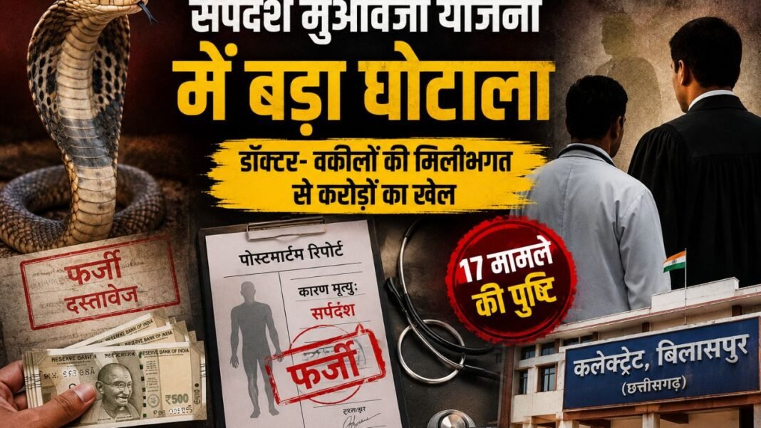 CG News: बिलासपुर में सर्पदंश मुआवजा योजना में बड़ा घोटाला! डॉक्टर-वकीलों की मिलीभगत का खुलासा