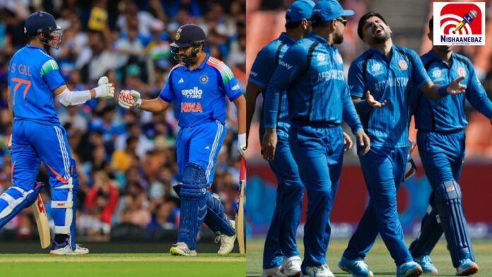 cricket