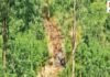CG News: रायपुर की आरती स्पंज का बड़ा खेल! 9 साल खनन नहीं, फिर भी रिकॉर्ड में 2.72 लाख टन उत्पादन का दावा