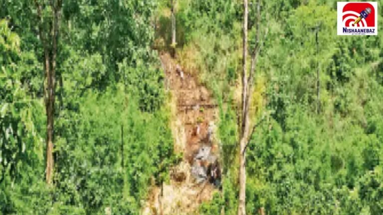 CG News: रायपुर की आरती स्पंज का बड़ा खेल! 9 साल खनन नहीं, फिर भी रिकॉर्ड में 2.72 लाख टन उत्पादन का दावा