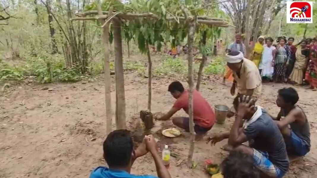 CG News: अब होगी अच्छी बारिश और भरपूर फसल! महुआ वृक्ष के नीचे संपन्न हुई हुई भिमाल पेन देवता की अनोखी शादी
