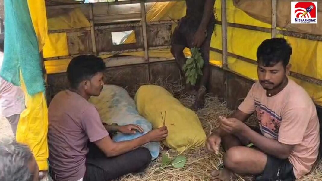 CG News: कोंडागांव में दर्दनाक हादसा! नाले में डूबने से दो चचेरे मासूम भाइयों की मौत, गांव में पसरा मातम
