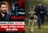 BlackBuck Case: बिना पक्ष सुने नहीं लगेगा रोक, हाईकोर्ट ने फिल्म के डायरेक्टर-प्रोड्यूसर से मांगा लिखित जवाब
