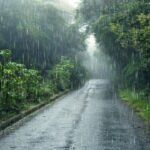 MP Rain Alert: मध्यप्रदेश में मानसून ने बढ़ाई रफ्तार, भोपाल-इंदौर समेत कई शहरों में बारिश-तेज हवाओं का अलर्ट