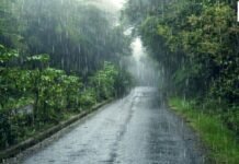 MP Weather Today: मध्यप्रदेश में 3 दिन बदला रहेगा मौसम, कई जिलों में भारी बारिश का अलर्ट