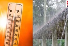 MP Weather Update: मध्यप्रदेश में मानसून की वापसी के संकेत, आज इन जिलों में बारिश का अनुमान