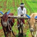 PM Fasal Bima Yojana