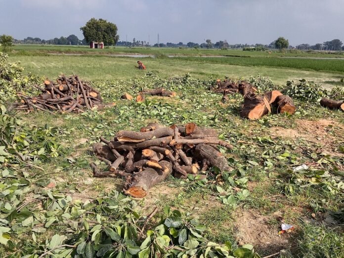 Raigarh Coal Mining