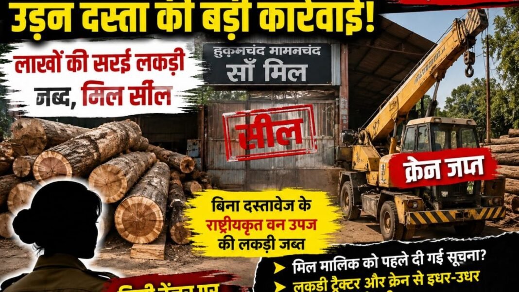 CG NEWS: अभनपुर की सॉ मिल में उड़न दस्ता का छापा, लाखों की सरई लकड़ी जब्त, अब उठ रहे बड़े सवाल CG NEWS: अभनपुर की सॉ मिल में उड़न दस्ता का छापा, लाखों की सरई लकड़ी जब्त, अब उठ रहे बड़े सवाल