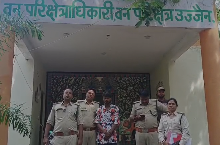 Ujjain Jackal Hunting: अंधविश्वास में 3 सियारों की बेरहमी से हत्या तंत्र-मंत्र की सिद्धि के लिए किया शिकार, मोबाइल वीडियो से खुला राज; आरोपी गिरफ्तार Ujjain Jackal Hunting: अंधविश्वास में 3 सियारों की बेरहमी से हत्या तंत्र-मंत्र की सिद्धि के लिए किया शिकार, मोबाइल वीडियो से खुला राज; आरोपी गिरफ्तार