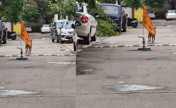 Indore Road Borewell: अजब इंदौर में गजब कारनामा! सड़क के बीचों-बीच कर दी बोरिंग, तस्वीर वायरल होने के बाद छिड़ी बहस Indore Road Borewell: अजब इंदौर में गजब कारनामा! सड़क के बीचों-बीच कर दी बोरिंग, तस्वीर वायरल होने के बाद छिड़ी बहस