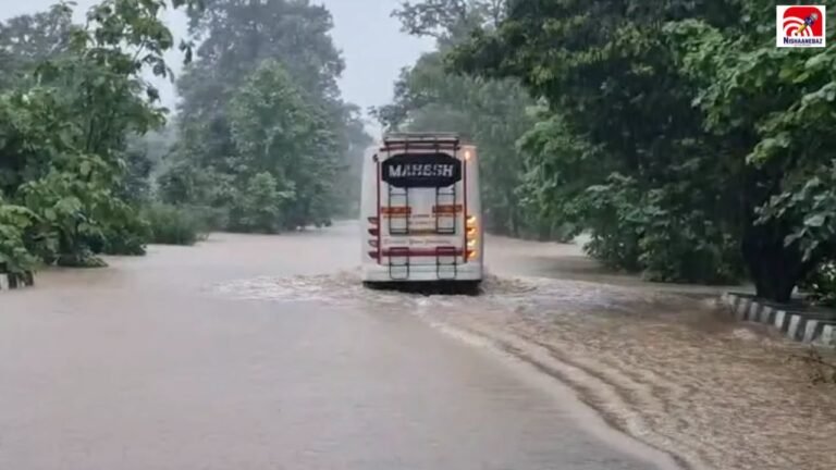 CG Weather Alert: छत्तीसगढ़ में अगले 5 दिन बारिश का कहर! कई जिलों में फ्लैश फ्लड का खतरा