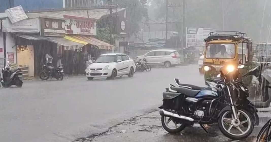 Raisen Rain Update: मुस्कुराया आषाढ़, झूमकर बरसे काले बदरा; बारिश से महका रायसेन, किसानों के चेहरों पर लौटी मुस्कान Raisen Rain Update: मुस्कुराया आषाढ़, झूमकर बरसे काले बदरा; बारिश से महका रायसेन, किसानों के चेहरों पर लौटी मुस्कान