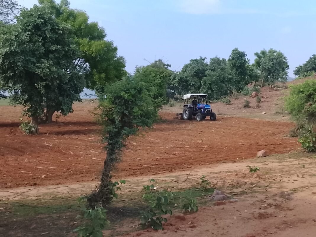 Tikamgarh News: टीकमगढ़ में गौचर भूमि पर अतिक्रमण का आरोप सरकारी जमीन पर बुवाई से भड़के ग्रामीण, मवेशियों के सामने चारे का संकट Tikamgarh News: टीकमगढ़ में गौचर भूमि पर अतिक्रमण का आरोप सरकारी जमीन पर बुवाई से भड़के ग्रामीण, मवेशियों के सामने चारे का संकट