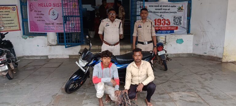 Rengalpali Theft Case: पुसौर में किसानों के बोरवेल की केबल उड़ाने वाले दो शातिर चोर गिरफ्तार; भेजे गए जेल