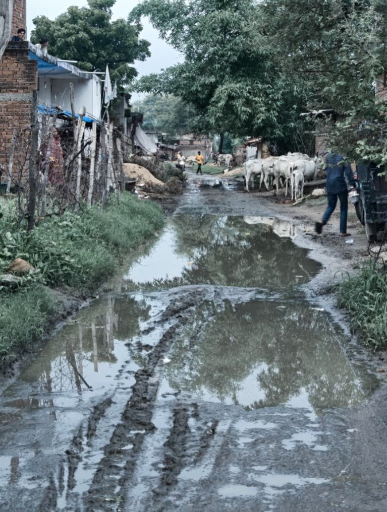 Singrauli Civic Issues: देवसर के ग्राम ढेंकी में पहली बारिश से बनी जलभराव की स्थिति; मुख्य सड़क तालाब में तब्दील, ग्रामीणों का फूटा गुस्सा Singrauli Civic Issues: देवसर के ग्राम ढेंकी में पहली बारिश से बनी जलभराव की स्थिति; मुख्य सड़क तालाब में तब्दील, ग्रामीणों का फूटा गुस्सा