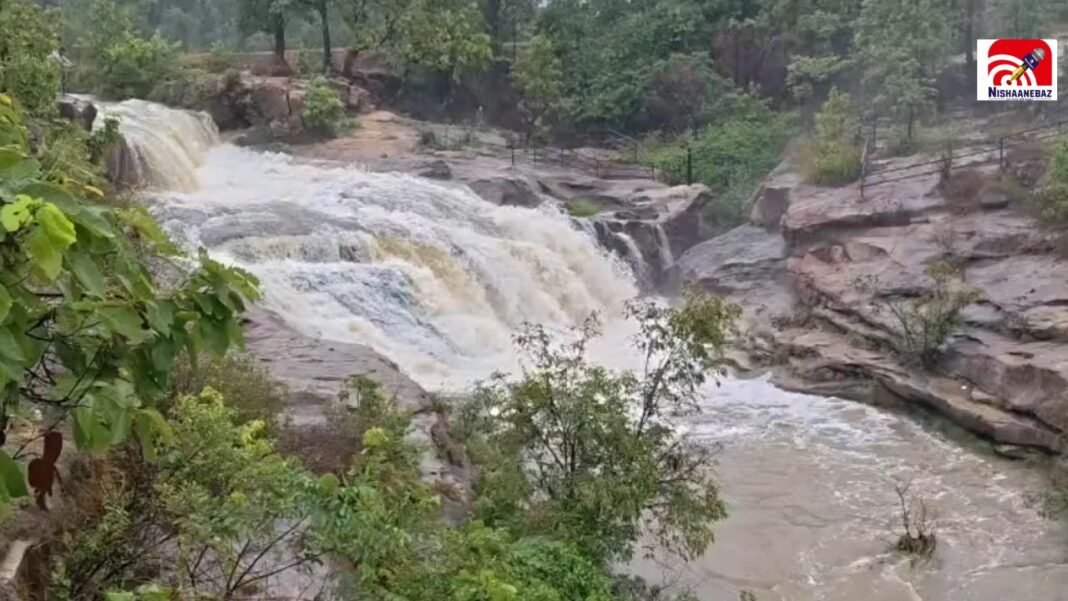 CG News: चित्रकोट नहीं… इस बार घूमिए कोरबा का परसाखोला वॉटरफॉल, नजारा कर देगा मंत्रमुग्ध CG News: चित्रकोट नहीं… इस बार घूमिए कोरबा का परसाखोला वॉटरफॉल, नजारा कर देगा मंत्रमुग्ध