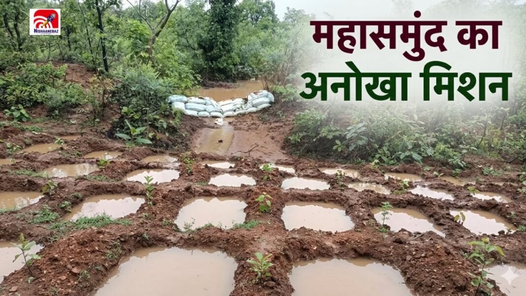 CG News: जहां हर गर्मी में सूख जाते थे कुएं! वहां अब हर गांव में बारिश की हर बूंद रच रही नया इतिहास CG News: जहां हर गर्मी में सूख जाते थे कुएं! वहां अब हर गांव में बारिश की हर बूंद रच रही नया इतिहास