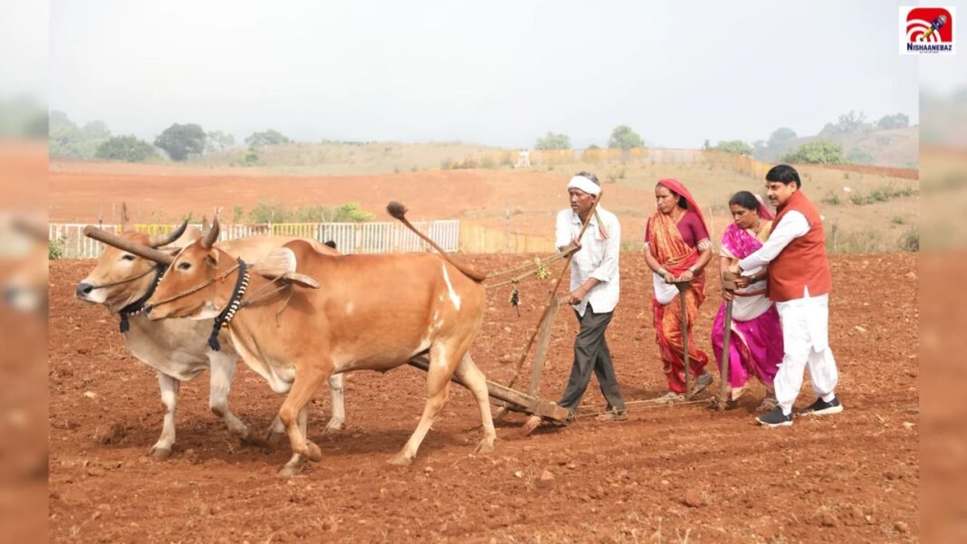 MP News: आज किसानों के खातों में आएगी बड़ी रकम! CM मोहन यादव करेंगे 1460 करोड़ ट्रांसफर MP News: आज किसानों के खातों में आएगी बड़ी रकम! CM मोहन यादव करेंगे 1460 करोड़ ट्रांसफर
