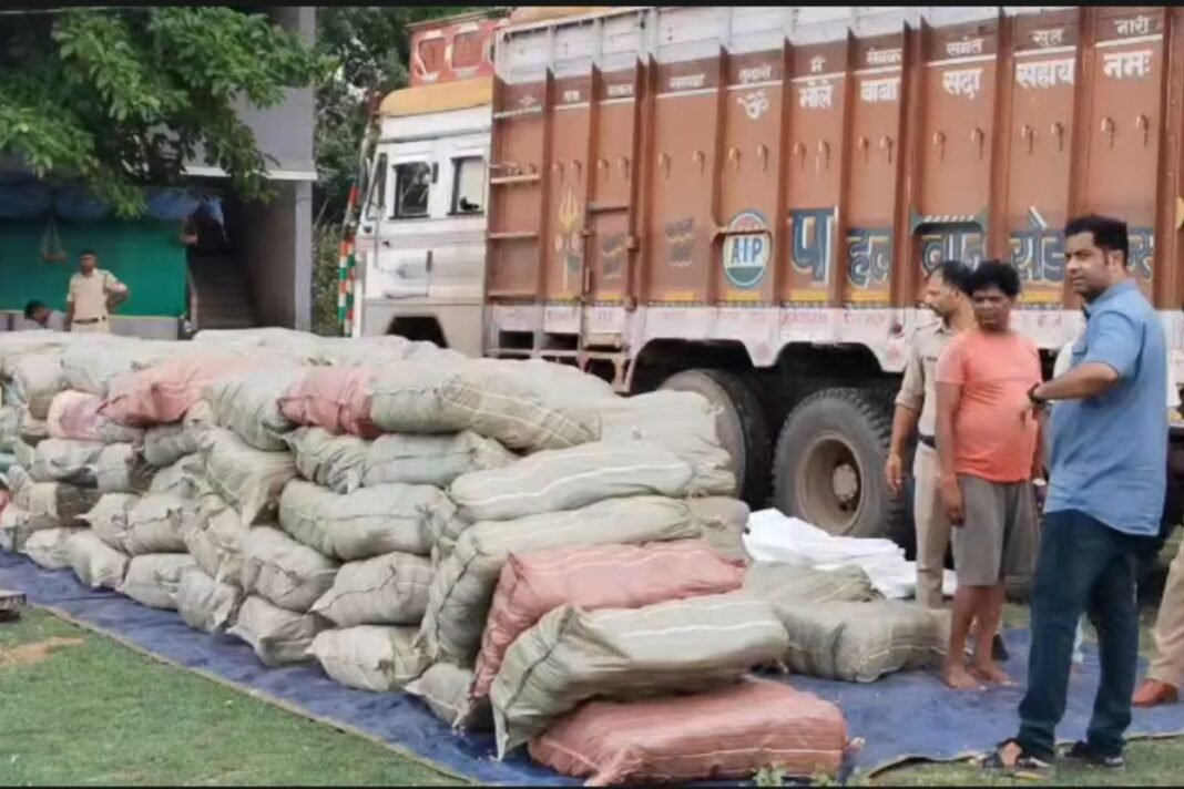 Mega Drug Bust In Rewa: मनगवां पुलिस की बड़ी कार्रवाई; मक्के की बोरियों के बीच ट्रक में छिपाकर ले जाया जा रहा 20 क्विंटल गांजा जब्त Mega Drug Bust In Rewa: मनगवां पुलिस की बड़ी कार्रवाई; मक्के की बोरियों के बीच ट्रक में छिपाकर ले जाया जा रहा 20 क्विंटल गांजा जब्त