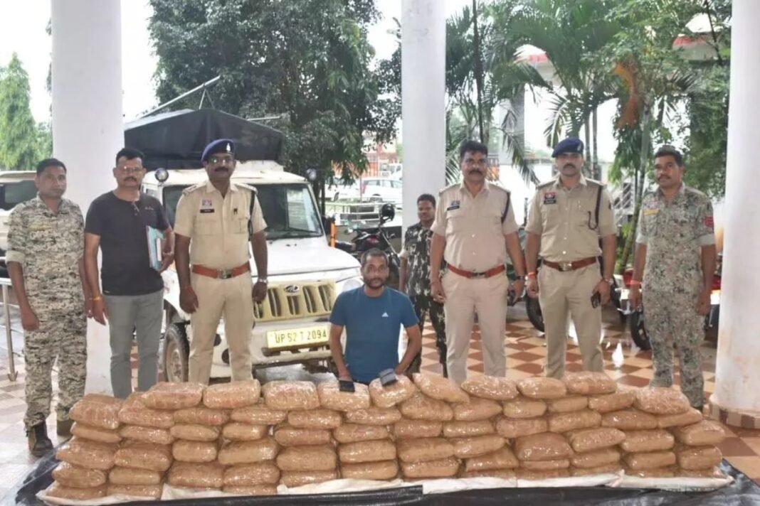 Jagdalpur Crime: बस्तर पुलिस का ‘ऑपरेशन क्लीन’: ओडिशा से यूपी जा रही पिकअप से ₹1.07 करोड़ का गांजा जब्त; अंधेरे का फायदा उठाकर एक तस्कर फरार Jagdalpur Crime: बस्तर पुलिस का ‘ऑपरेशन क्लीन’: ओडिशा से यूपी जा रही पिकअप से ₹1.07 करोड़ का गांजा जब्त; अंधेरे का फायदा उठाकर एक तस्कर फरार