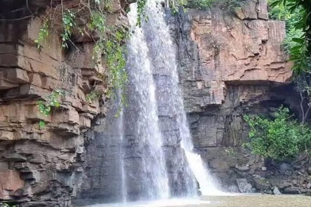 Chhattisgarh Forest Beauty: मूसलाधार बारिश ने बदला बलौदाबाजार के जंगलों का मिजाज, देखें हरी-भरी वादियों के नज़ारे Chhattisgarh Forest Beauty: मूसलाधार बारिश ने बदला बलौदाबाजार के जंगलों का मिजाज, देखें हरी-भरी वादियों के नज़ारे
