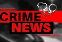 Ujjain News: गौ तस्करी के आरोप में 2 युवकों से मारपीट, कपड़े उतरवाकर कराया ‘नागिन’ डांस