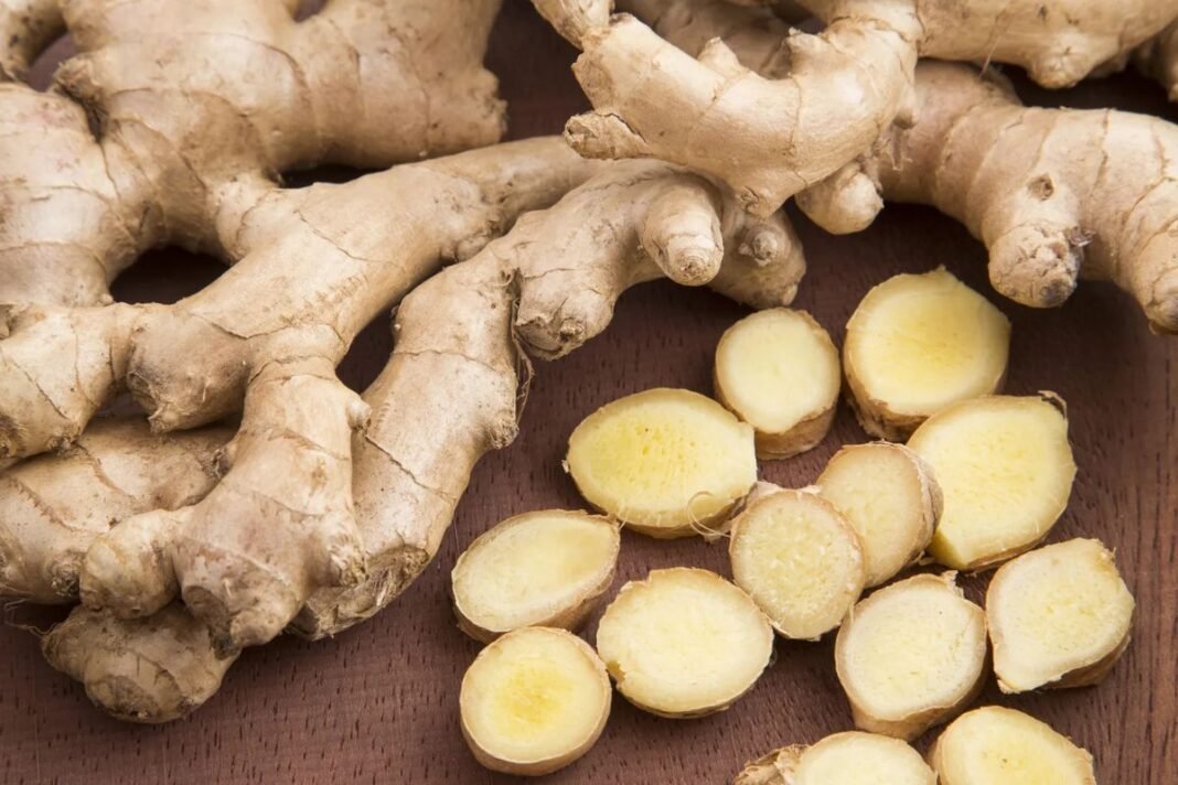 Ginger Recipes For Health: चाय ही नहीं, सेहत और स्वाद का खजाना हैं अदरक से बनने वाली ये 5 टेस्टी रेसिपीज़, जानिए बनाने का आसान तरीका Ginger Recipes For Health: चाय ही नहीं, सेहत और स्वाद का खजाना हैं अदरक से बनने वाली ये 5 टेस्टी रेसिपीज़, जानिए बनाने का आसान तरीका