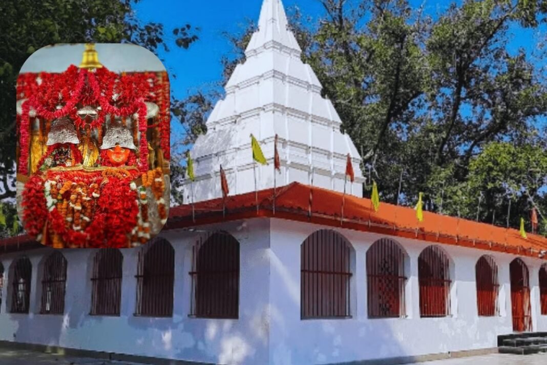 Ambikapur Mahamaya Mandir Prasad: आस्था से खिलवाड़! मां महामाया मंदिर के प्रसाद में मिलावट, सरकारी लैब की जांच में लड्डू का सैंपल हुआ फेल Ambikapur Mahamaya Mandir Prasad: आस्था से खिलवाड़! मां महामाया मंदिर के प्रसाद में मिलावट, सरकारी लैब की जांच में लड्डू का सैंपल हुआ फेल