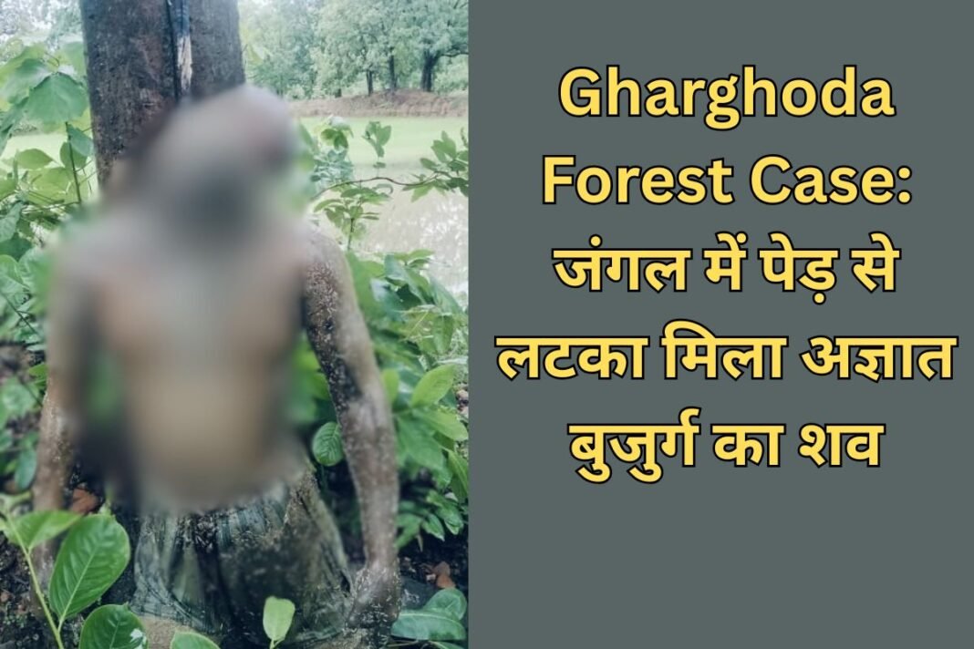 Gharghoda Crime Update: घरघोड़ा के कमतरा जंगल में पेड़ से लटका मिला अज्ञात बुजुर्ग का शव; शिनाख्त में जुटी रायगढ़ पुलिस Gharghoda Crime Update: घरघोड़ा के कमतरा जंगल में पेड़ से लटका मिला अज्ञात बुजुर्ग का शव; शिनाख्त में जुटी रायगढ़ पुलिस