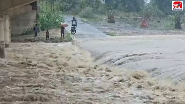 छत्तीसगढ़ में मानसून का कहर! बिलासपुर में महिला की मौत, 150 घरों में पानी, स्कूलों में छुट्टी, कई जिलों में अलर्ट