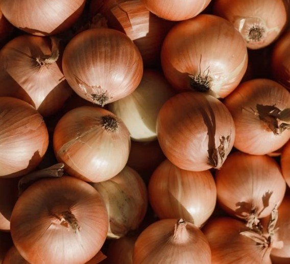 Onion Price Hike : अब रुलाने लगा प्याज, एक हफ्ते में 15 से 20 रुपए किलो बढ़े दाम, जानिए लेटेस्ट कीमत
