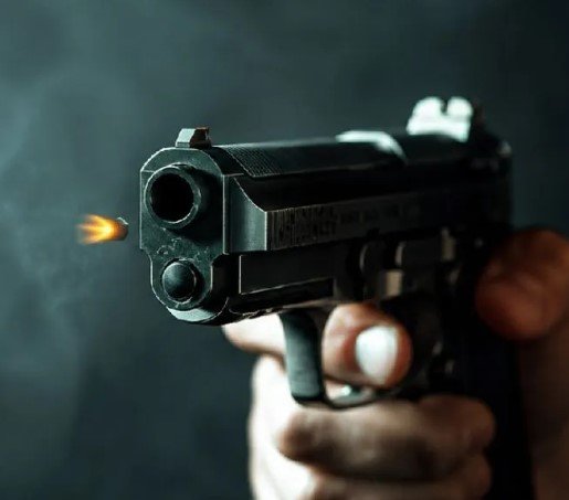 Raigarh Crime News: रायगढ़ में शराब दुकान के बाहर चली गोली, गार्ड के पेट में लगी; CCTV फुटेज से आरोपी की तलाश तेज