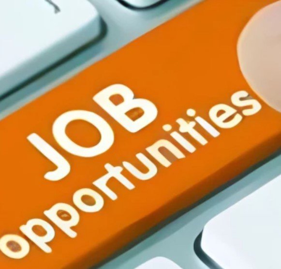 revenue Department Jobs: राजस्व विभाग में सरकारी नौकरी का मौका, छत्तीसगढ़ के 24 जिलों में सहायक ग्रेड-3 के 100 पदों पर भर्ती