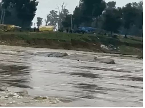 Balrampur News: नदी के तेज बहाव में 3 बच्चों की मौत, एनीकट से युवक बहा; बिजली गिरने से दंपती की गई जान
