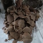 Kanker News