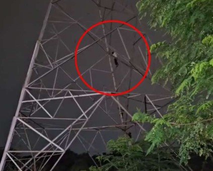 Bilaspur News: बिलासपुर में युवक का हाईवोल्टेज ड्रामा, भाई से विवाद के बाद हाईटेंशन टावर पर चढ़ा; जानिए फिर क्या हुआ