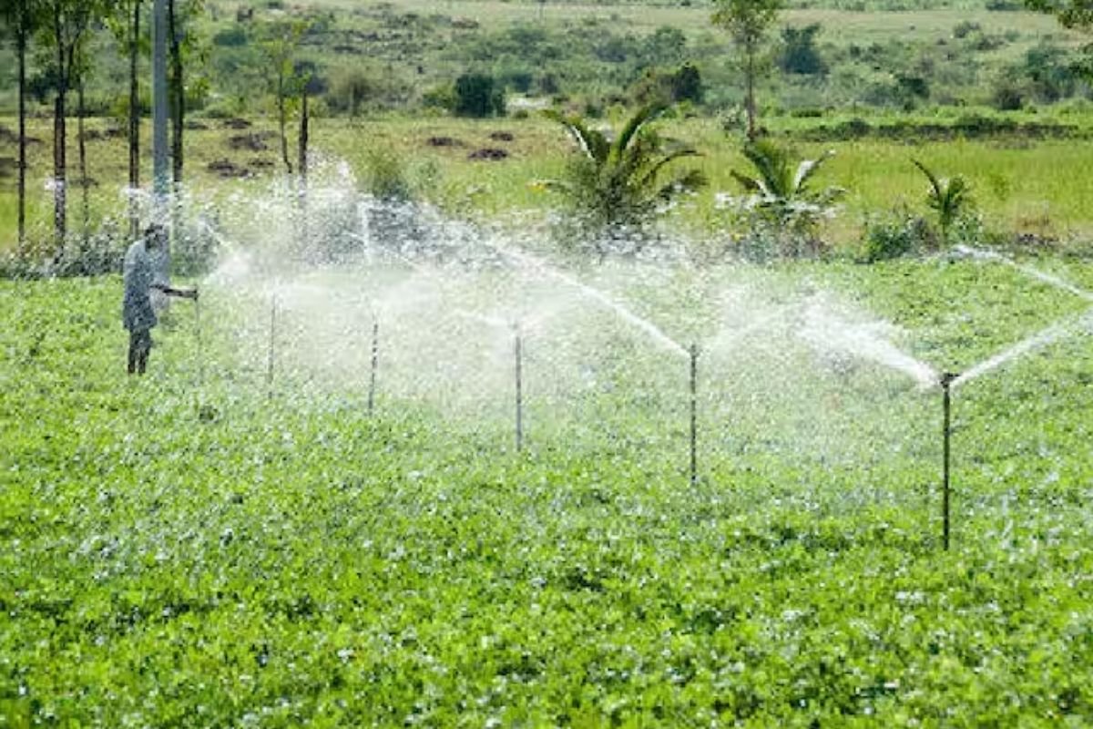 Drip Irrigation Subsidy Online Registration Process: खेतों की बूंद-बूंद सिंचाई से बढ़ेगा मुनाफा, खाद व मजदूरी के खर्च में कटौती के साथ पाएं सरकारी योजना का लाभ