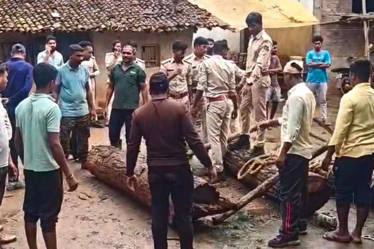 Rhaighar Forest Range Irregularities Probe: रायघर रेंज में अनियमितता और तस्करों से सांठगांठ के संकेत: USTR उपनिदेशक वरुण जैन ने ओडिशा वन विभाग से मांगी सीज़र रिपोर्ट