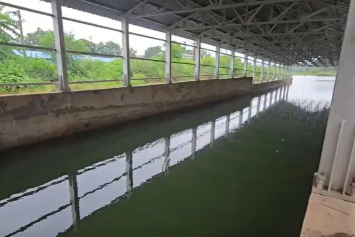 Rajnandgaon Underbridge Accident: 3 साल से अधूरे गौरीनगर अंडरब्रिज के 15 फीट गहरे गड्ढे में डूबने से सफाई कर्मी की मौत, रेलवे पर लापरवाही का आरोप