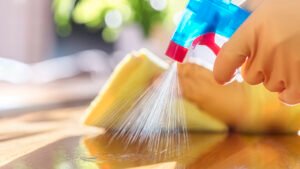 Monsoon Home Care Tips: बरसात में घर को रखें सीलन, मच्छरों और बदबू से सुरक्षित, अपनाएं ये आसान और असरदार घरेलू उपाय