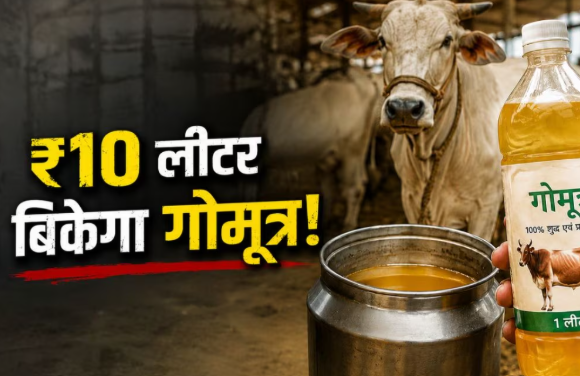 UP Gomutra Scheme: UP में 10 रुपए लीटर खरीदा जाएगा गोमूत्र, योगी सरकार की नई पहल से गांवों में बढ़ेगी कमाई