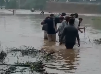 Rewa News: रीवा में बारिश का कहर उफनते नदी-नाले के बीच गर्भवती को खाट पर ले गए ग्रामीण, एंबुलेंस नहीं पहुंची