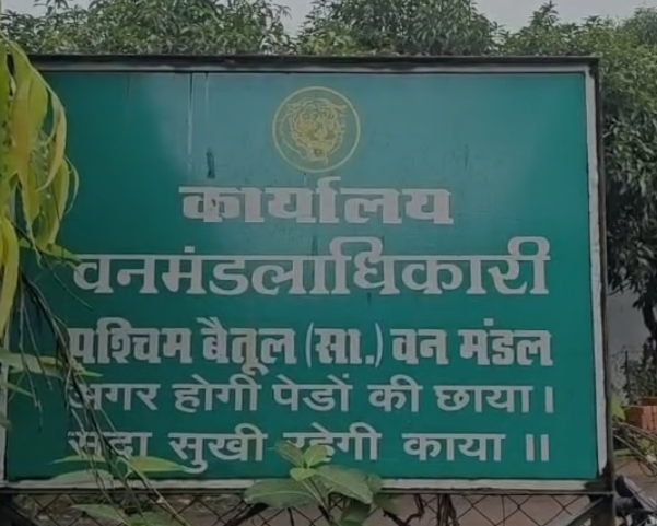 MP News: बैतूल वन विभाग में 55 हजार की रिश्वत मामले पर सवाल, ट्रैप कार्रवाई के बाद भी बाबू का निलंबन नहीं