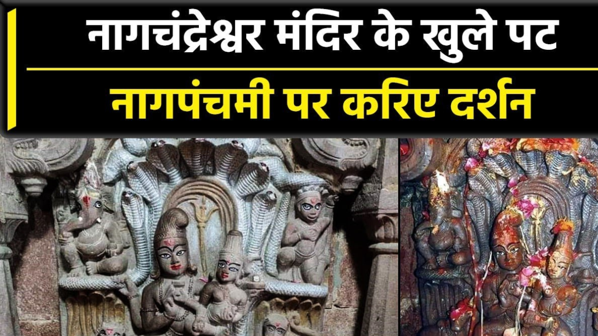 Nagchandreshwar Temple: उज्जैन में नागपंचमी की धूम आधी रात खुले नागचंद्रेश्वर मंदिर के पट, 24 घंटे होंगे दर्शन