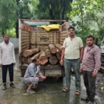 MP NEWS