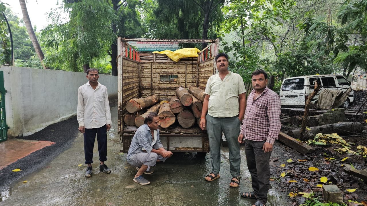 MP News: रेहटी में सागौन तस्करी का खुलासा, नाका तोड़कर भाग रहे आरोपी को वन अमले ने पुल पर दबोचा; 1.20 लाख का माल जब्त