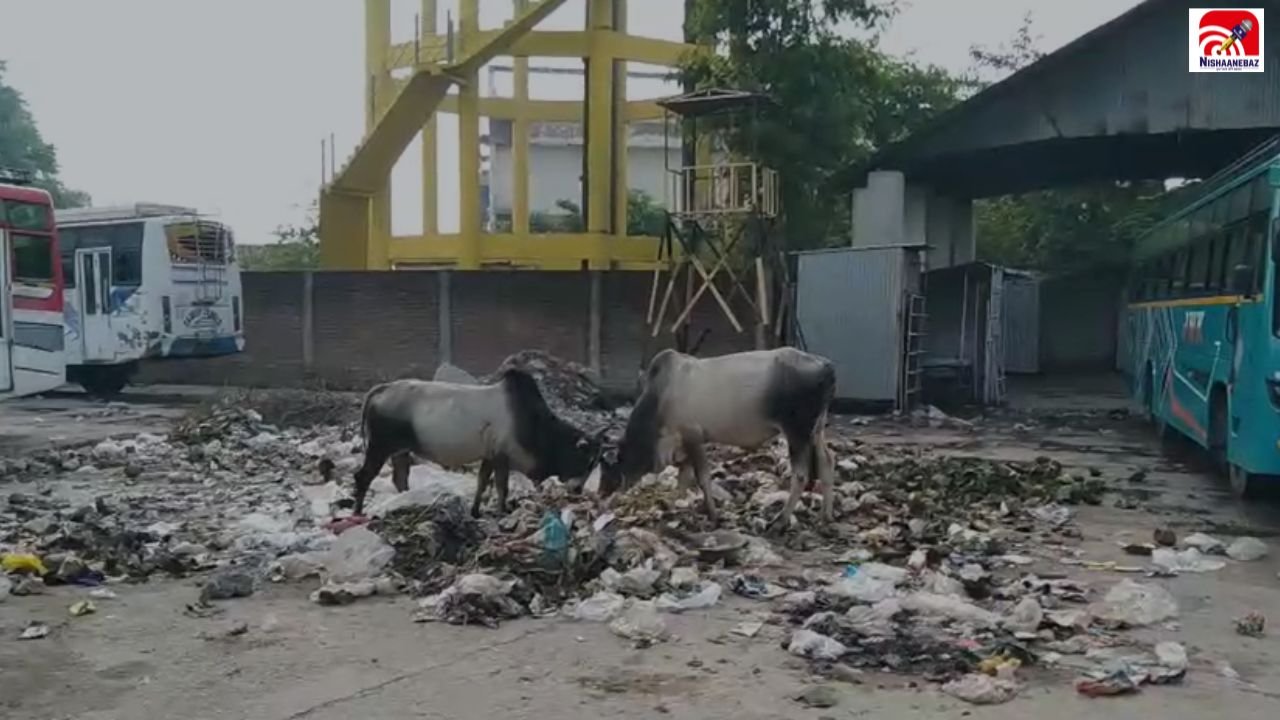 MP News: : कचरे से पट गया दतिया बस स्टैंड, दावों की खुली पोल! जगह-जगह कचरा, दुकानदार और यात्री बेहाल