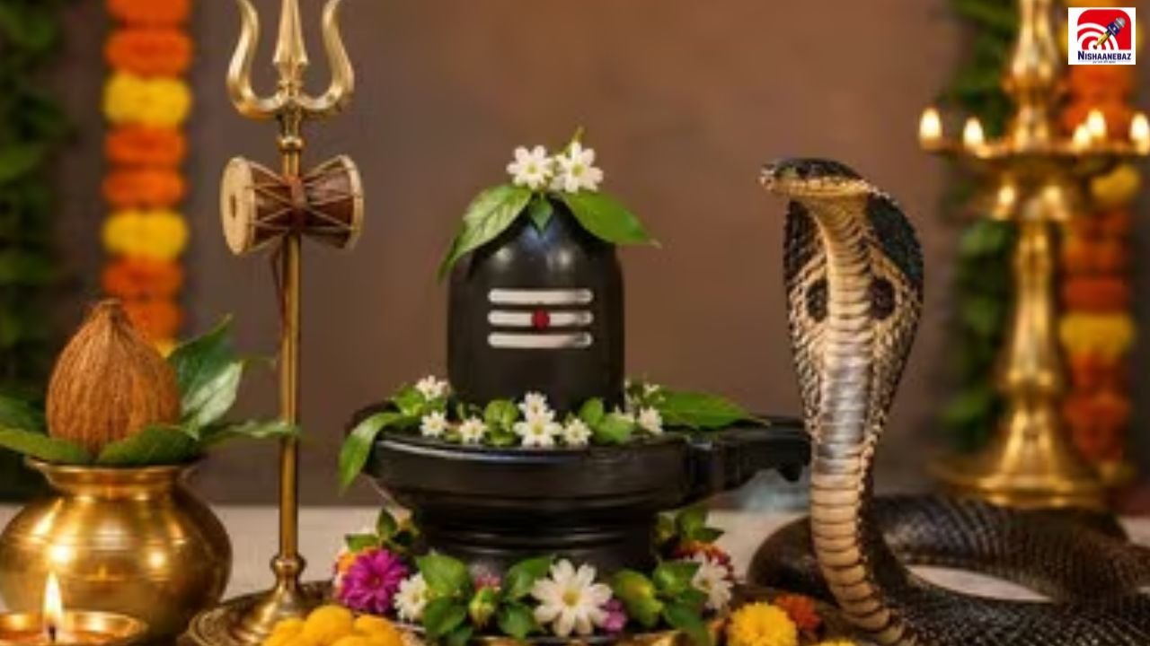आज नाग पंचमी में भूलकर भी न करें ये गलती! जानें ज्योतिषीय मान्यता, पूजा और उपाय की पूरी जानकारी