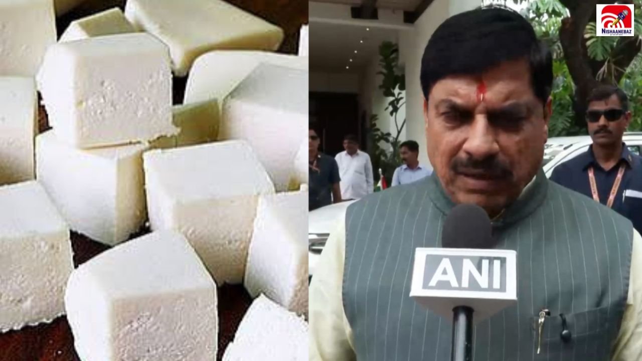 MP News: भोपाल में देर रात बड़ी कार्रवाई! डेयरी से 116 किलो एनालॉग पनीर जब्त, रिपोर्ट में खुलेगा राज